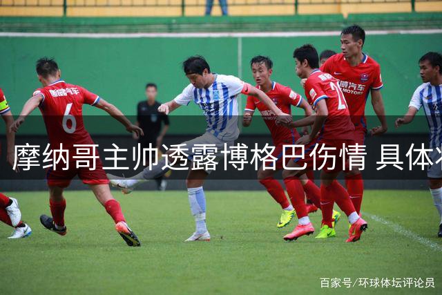 摩纳哥主帅透露博格巴伤情 具体状况尚不明确