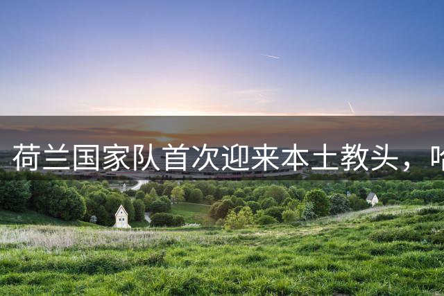 荷兰国家队首次迎来本土教头，哈维接掌帅印